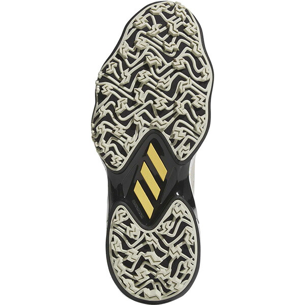 楽天市場】アディダス ゴルフ ゴルフシューズ コードカオス 25 ボア