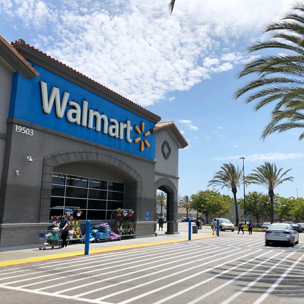 楽天市場】【クーポン配布中】ウォルマート Walmart “W”オールウェイズ