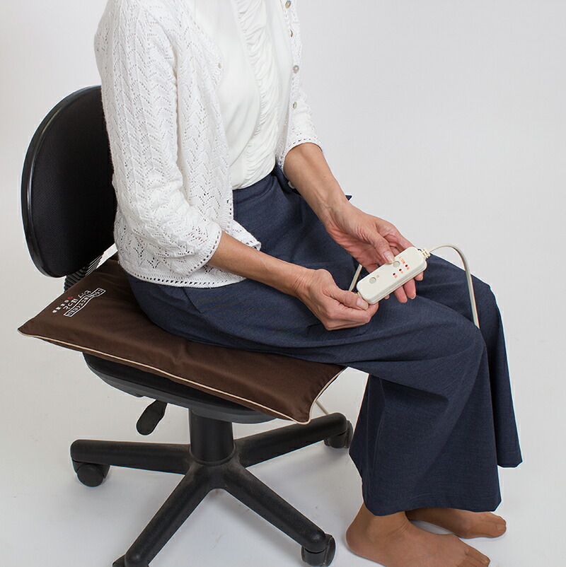 楽天市場】電気座布団 ホットクッション 座布団 ホット 腰痛対策 遠