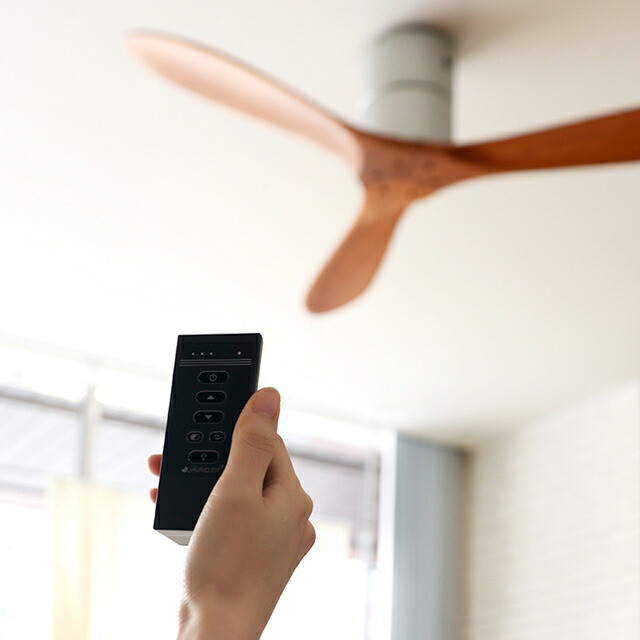 楽天市場】【メーカー直送】【JAVALO ELF】Modern Collection