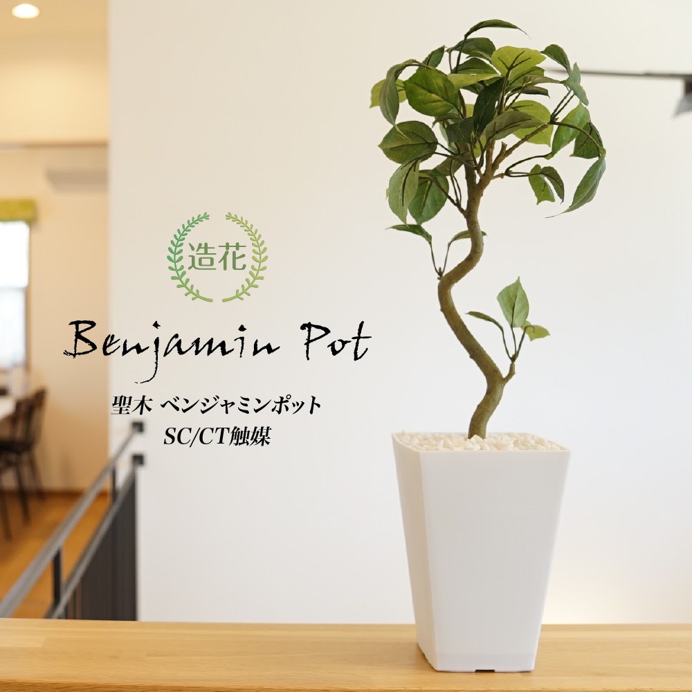 楽天市場】フェイクグリーン 観葉植物 フェイク 人工観葉植物 卓上