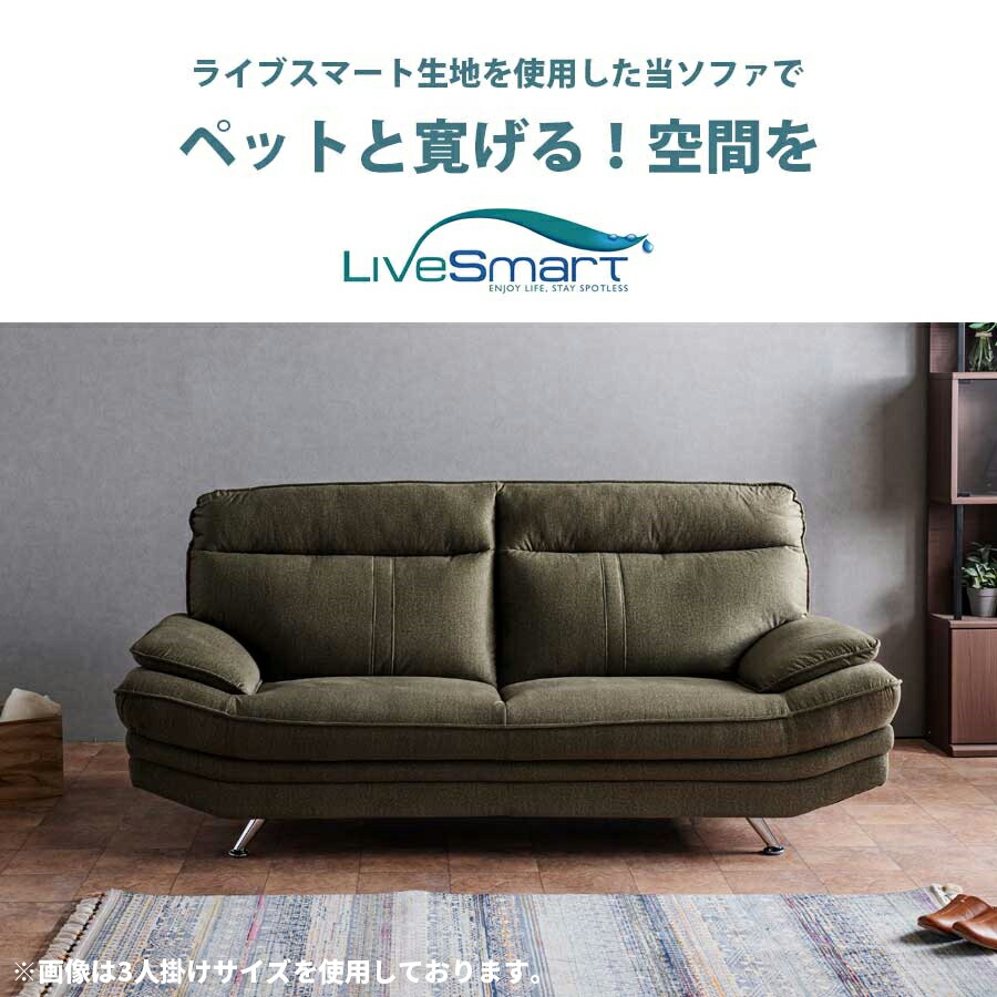 楽天市場】ソファ 2人掛け 堅牢 ペットと寛げる 幅170 ペットの爪で