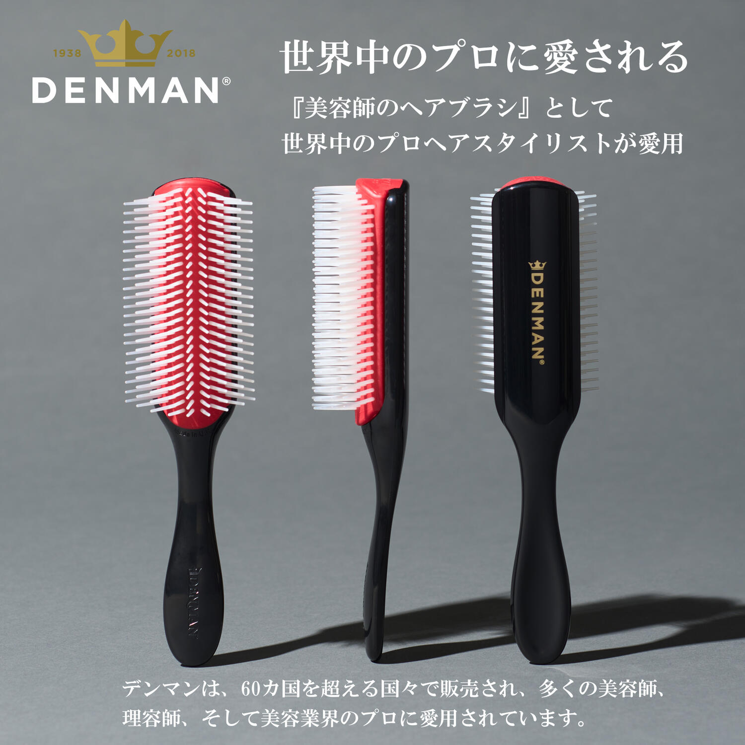 楽天市場】デンマン ブラシ D81M シャインブラシ ミディアム【お祝い