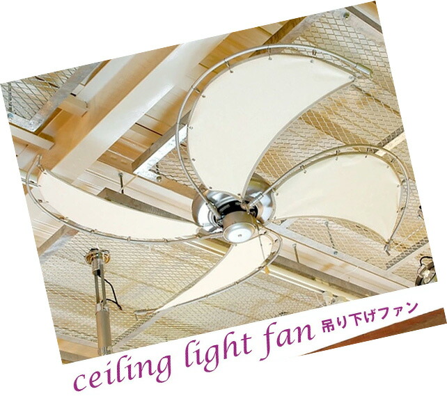 楽天市場】おうちやカフェ、お店やオフィスの天井に大型布羽4枚