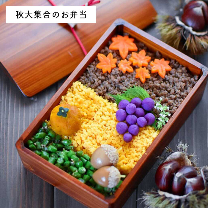 楽天市場】【2点で5％OFFクーポン配布中】 弁当箱 木製 ひのき 拭き漆