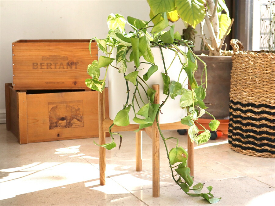 楽天市場】セラミック鉢カバー・木製スタンド付き/プランターカバー