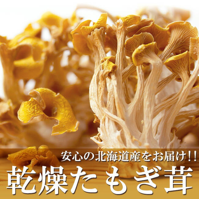 楽天市場】乾燥たもぎ茸 12g×3袋 北海道産きのこ【幻のキノコ 乾燥