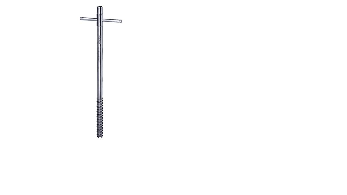 楽天市場】プロックス アイススクリューアンカーペグ30 ワカサギ