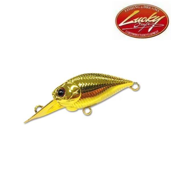 楽天市場】【スーパーセールポイント10倍】【メール便可】ラッキー