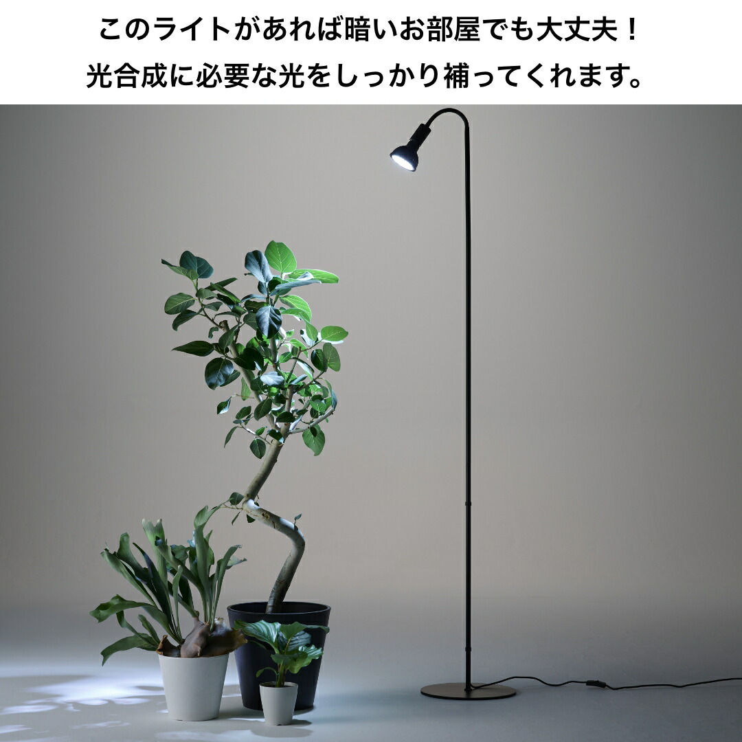 楽天市場】植物育成ライト 観葉植物 多肉向け 植物ライトledプランツ