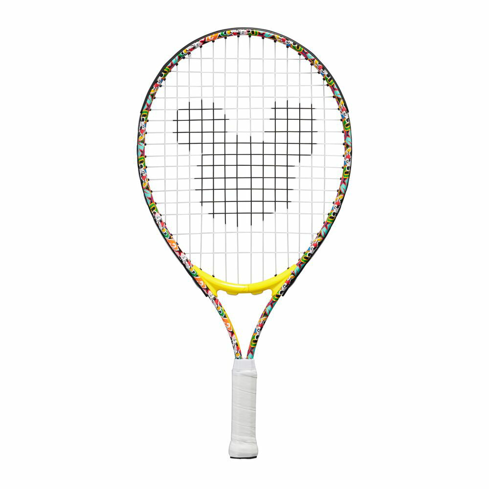 楽天市場】【全品10％OFFクーポン】「ガット張り上げ済」プリンス