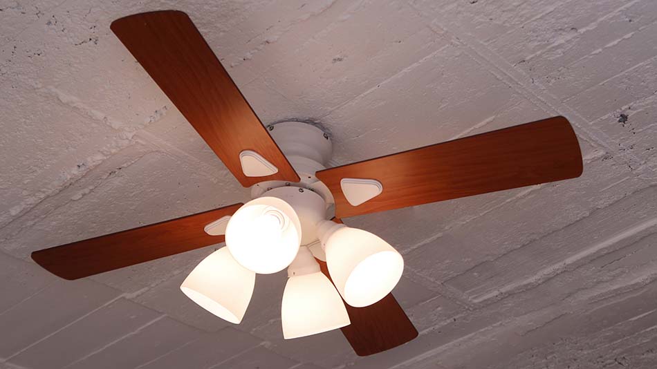 楽天市場】【SS期間クーポン配布&ポイント10倍】シーリングファン