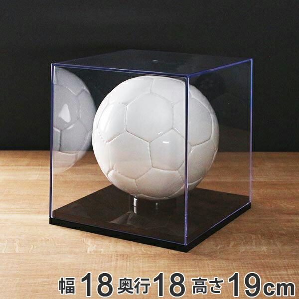 楽天市場】コレクションケース サインボール 卓上 クリアケース クリア