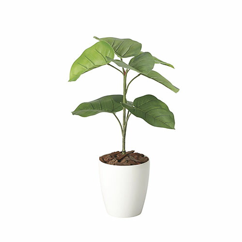 フェイクグリーン ウンベラータ」の人気商品一覧 | 安い商品を通販