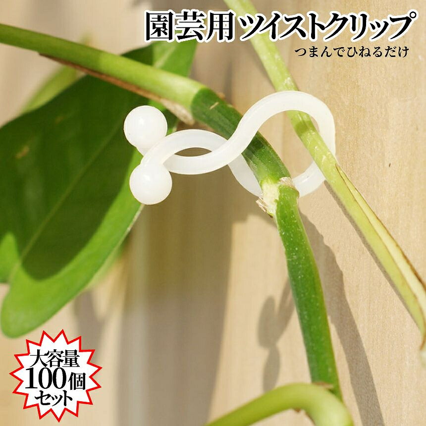 楽天市場】植物 クリップ 園芸クリップ 小型 100個 誘引クリップ 支柱
