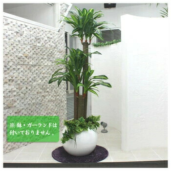 楽天市場】150cmドラセナフレグランス (造花・人工観葉植物
