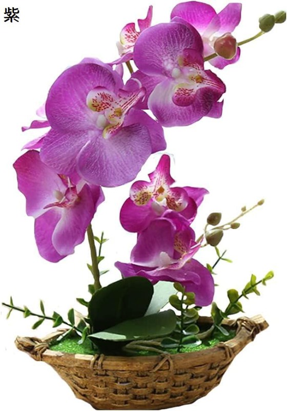 楽天市場】胡蝶蘭 人工観葉植物 光触媒加工 造花 卓上型 船型の鉢植 石