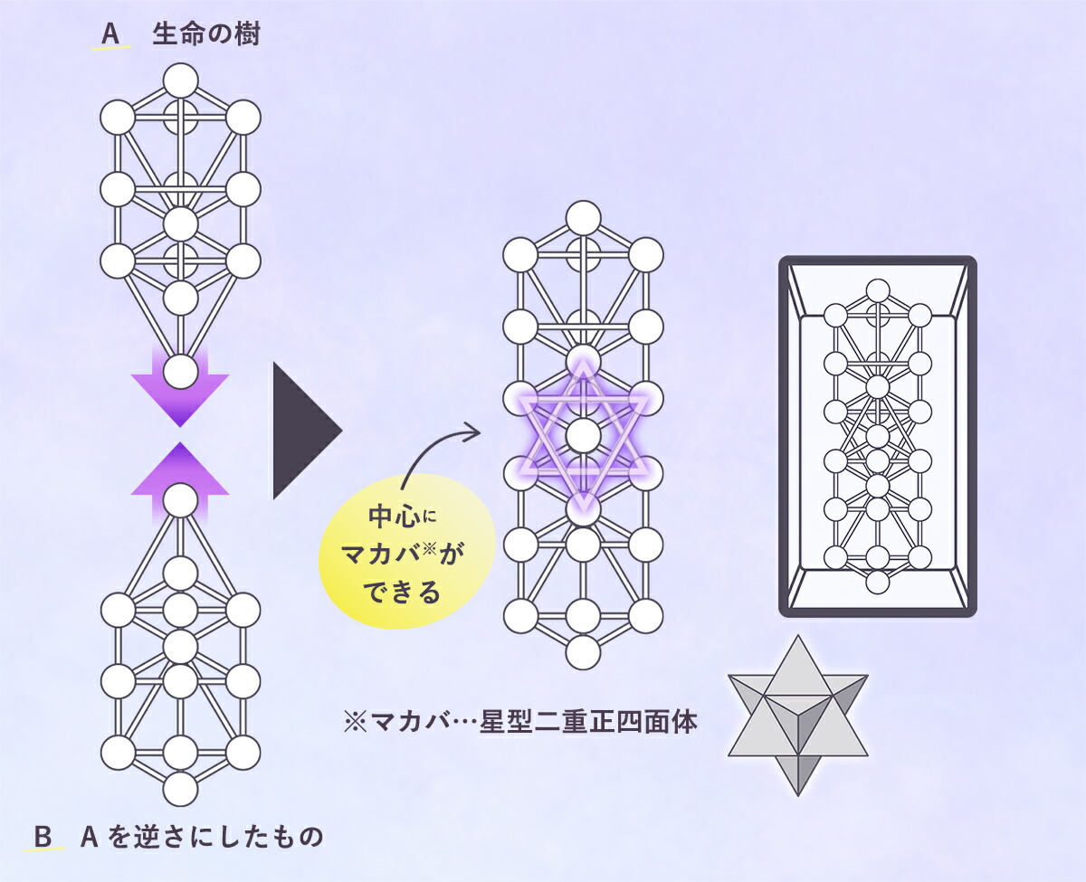 楽天市場】【クーポンで10%OFF☆3/11 1:59まで】＼ポイント20倍