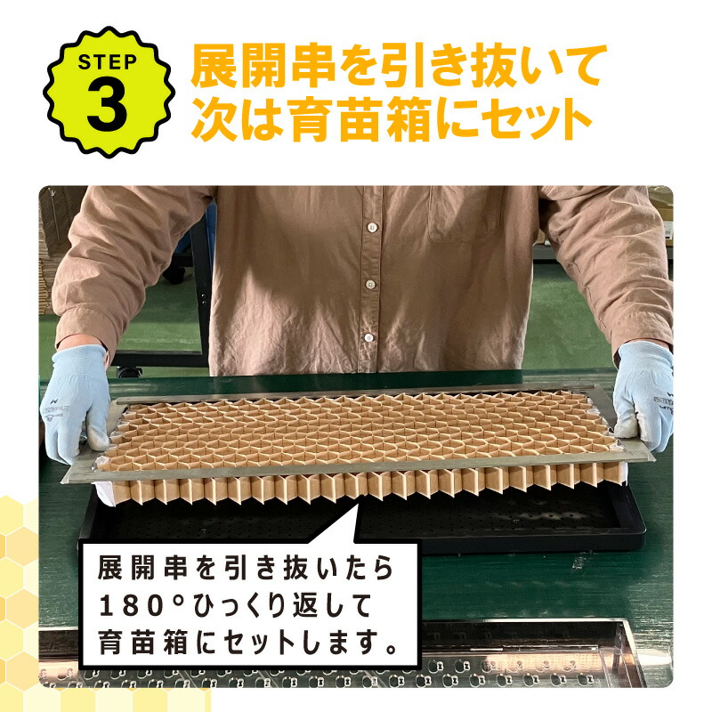 楽天市場】【3/31までエントリーで最大100%Pバック】播種5点セット
