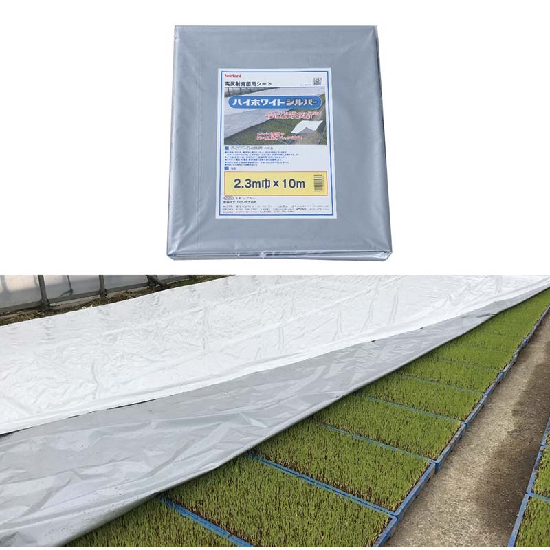 楽天市場】シルバーポリ イワタニの通販