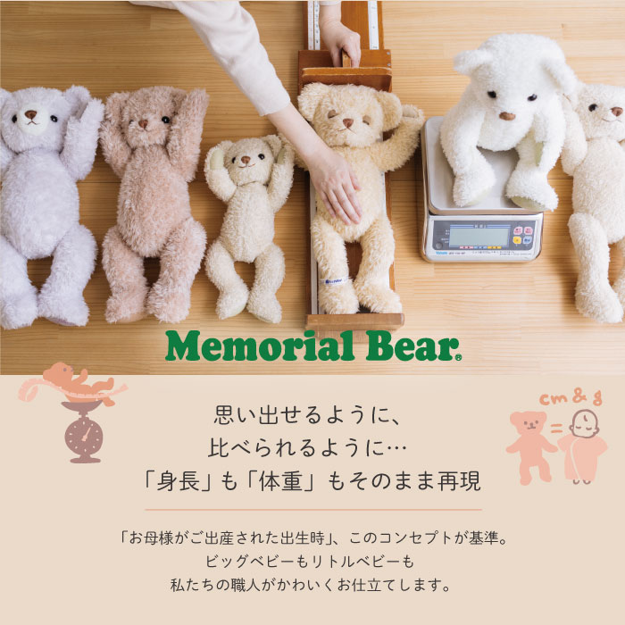 楽天市場】【身長体重ベア】2025年限定メモリアルベア 春夏モデル