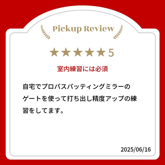 楽天市場】パター練習器具 ゴルフ 【公式】Back2BasicsGolf プロパス