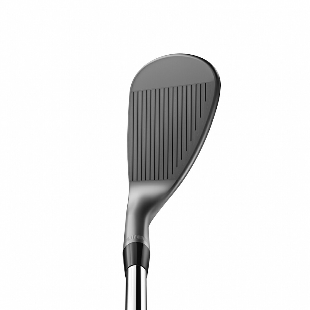 楽天市場】タイトリスト VOKEY DESIGN ボーケイデザイン SM10 ニッケル