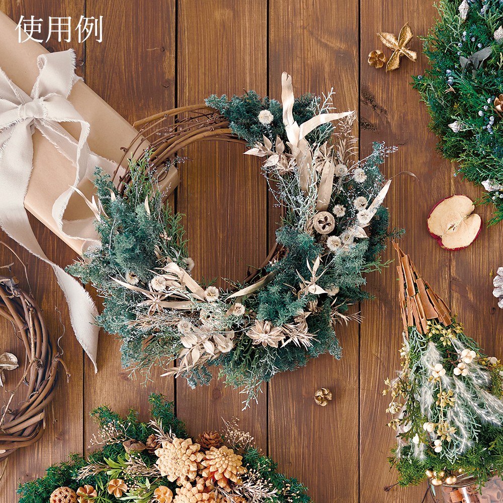 楽天市場】【P15倍中 3/11 9:59まで】 ドライフラワー 花材 即日出荷