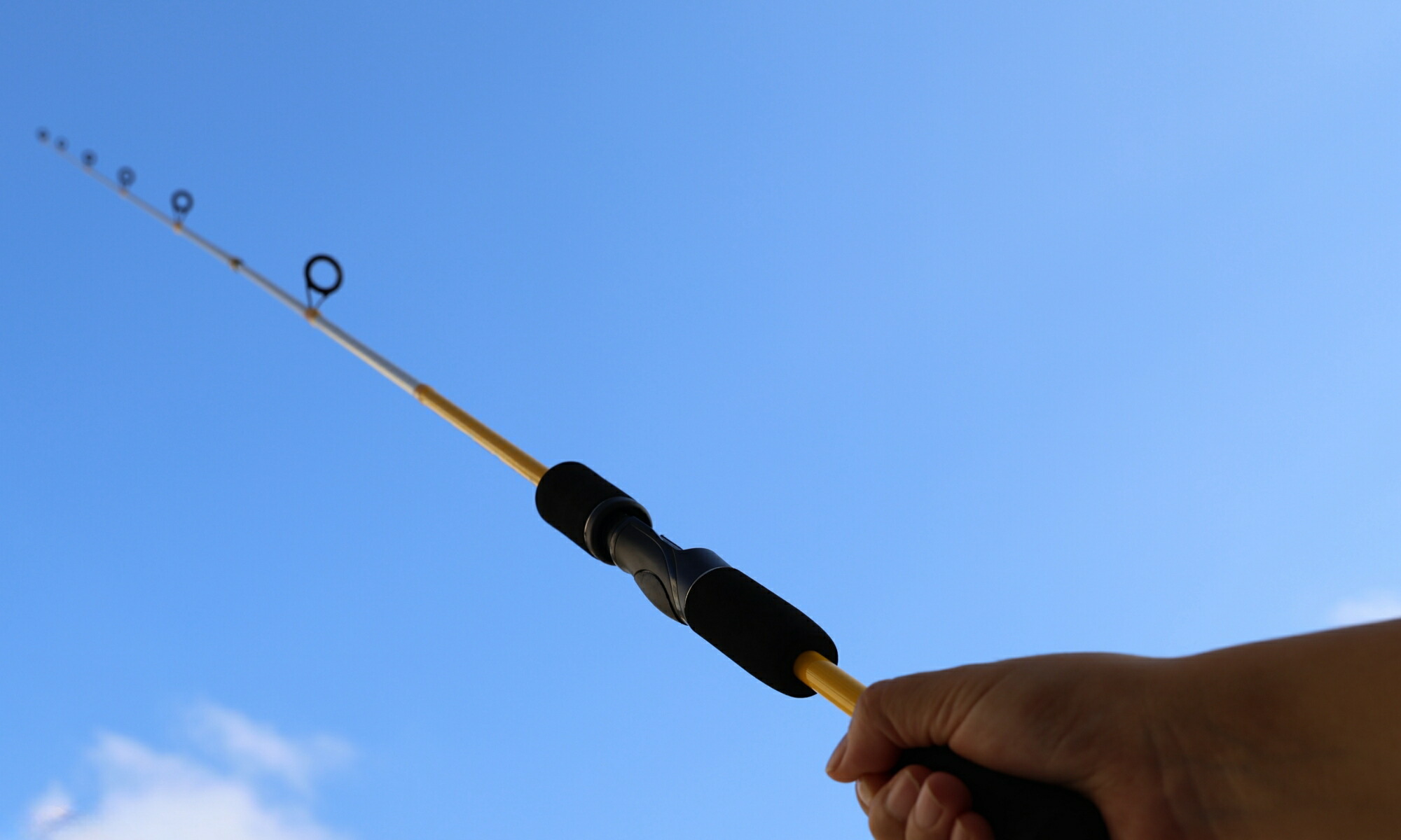 楽天市場】[2026/02/19 20:00:00 ～ 2026/02/23 01:59:59,5倍ポイント