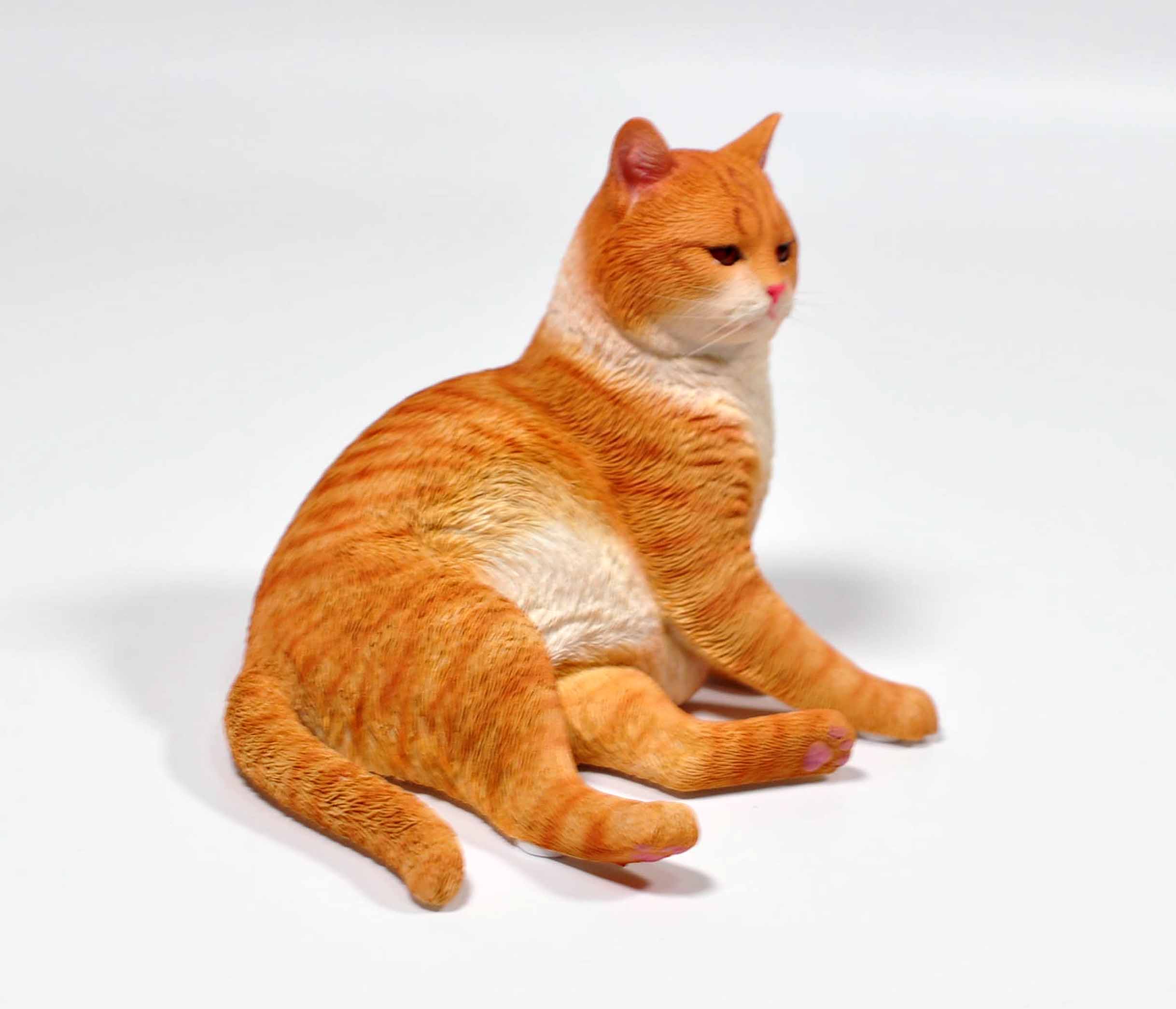 楽天市場】1/6サイズ 宮の茶白猫 リアルフィギュア ネコ動物彫像置物