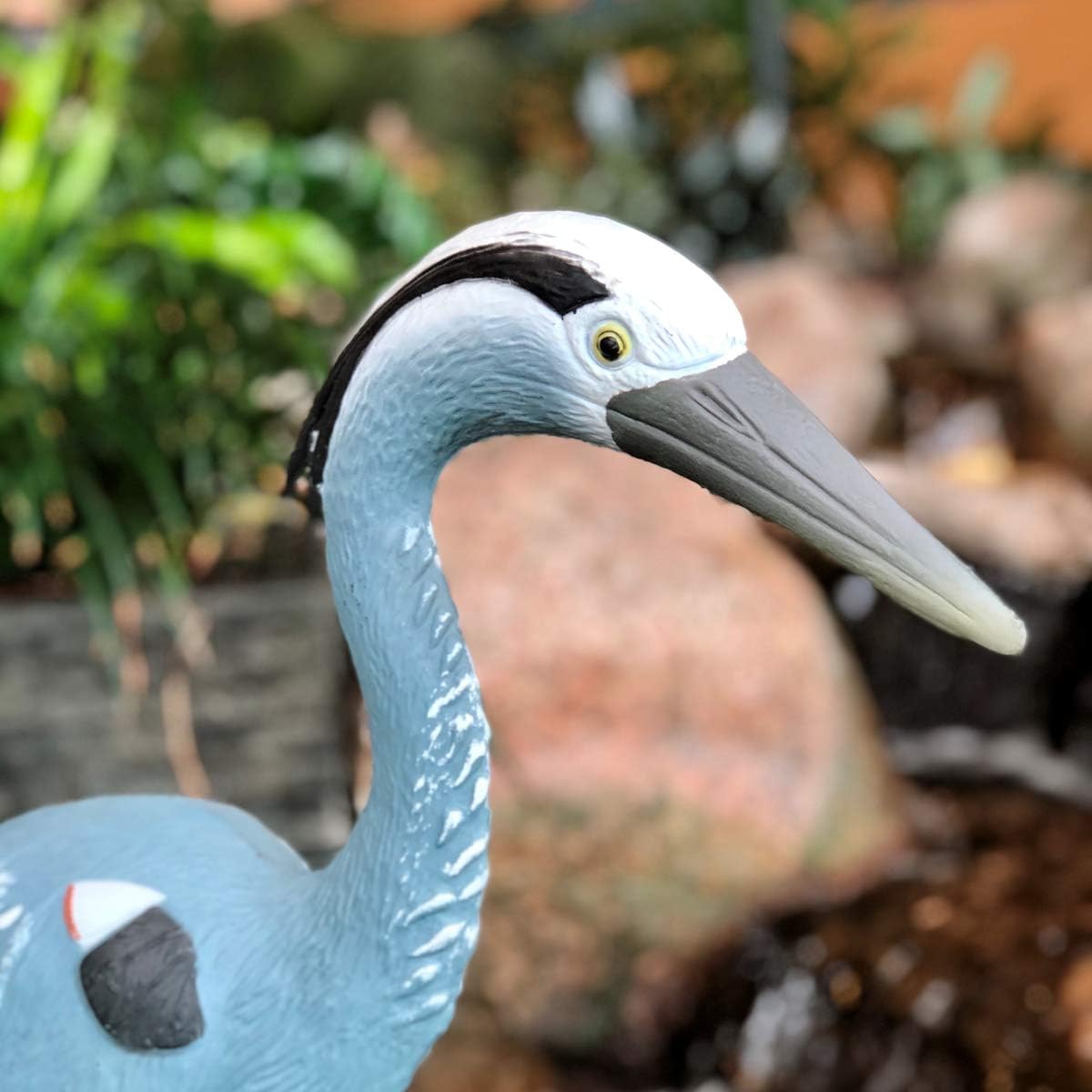 楽天市場】Aquascape製 アオサギ （青鷺）リアルフィギュア動物彫像 鳥