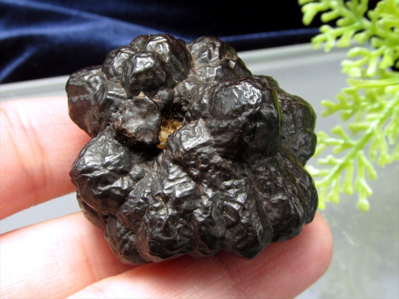 楽天市場】【全品P5倍】○激レア エジプトの星・予言石【プロフェシー