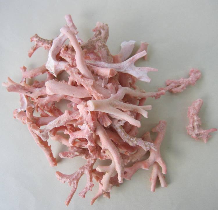 楽天市場】ピンク （ガーネ） 珊瑚 原木 1セット （375g入り