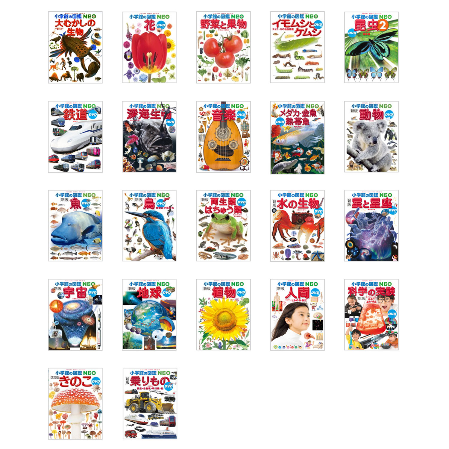 9317-01.jpg?fitin=272:272