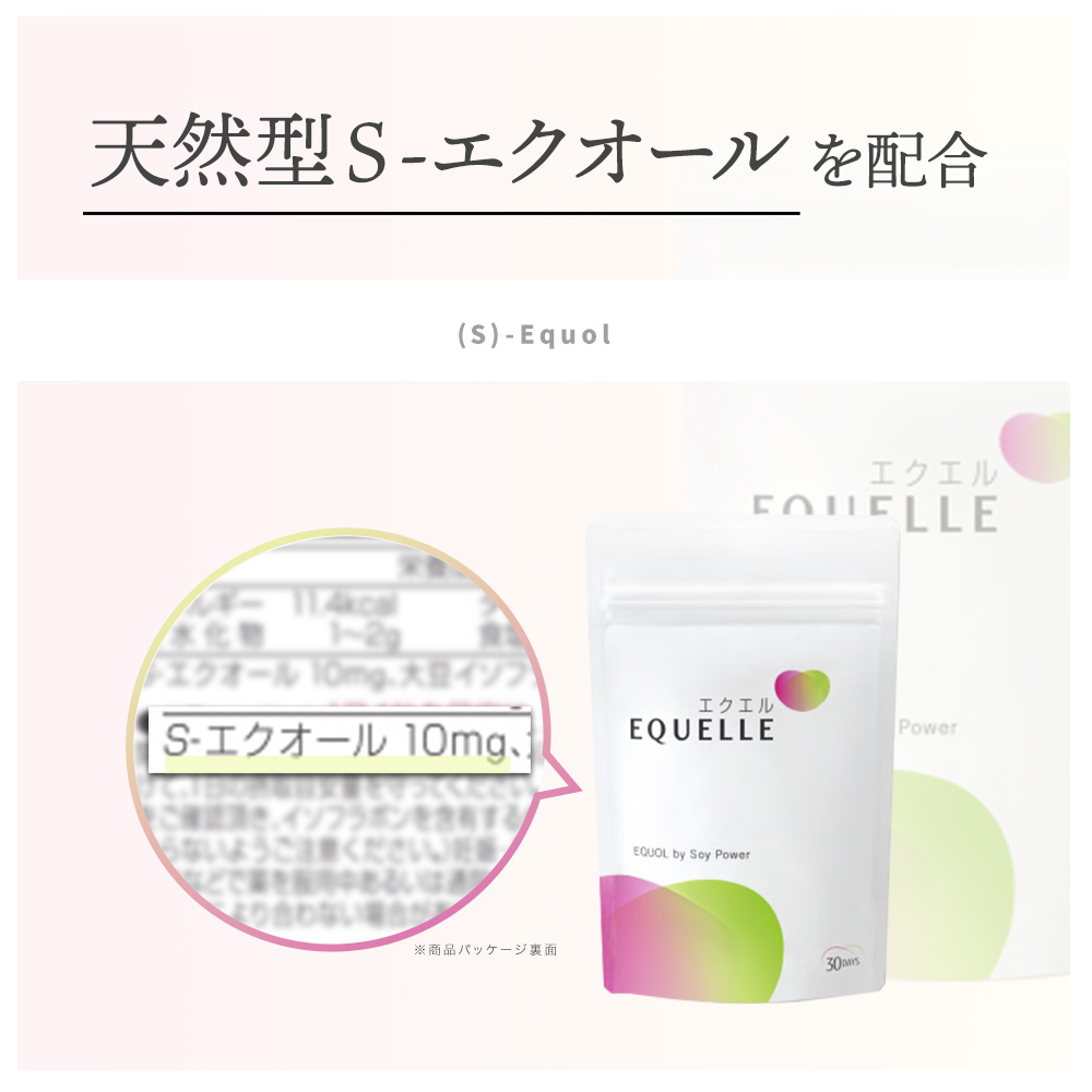 楽天市場】【先着順 最大500円他複数クーポン配布中】【3/13に発送予定