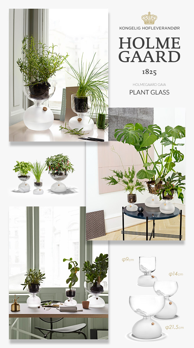 楽天市場】ホルムガード HOLMEGAARD ガイア プラントグラス 9cm