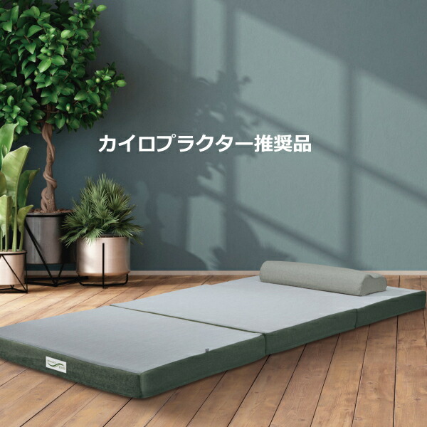 ロマンス小杉 ロマンスエコー シングル (マットレス) 価格比較 - 価格.com