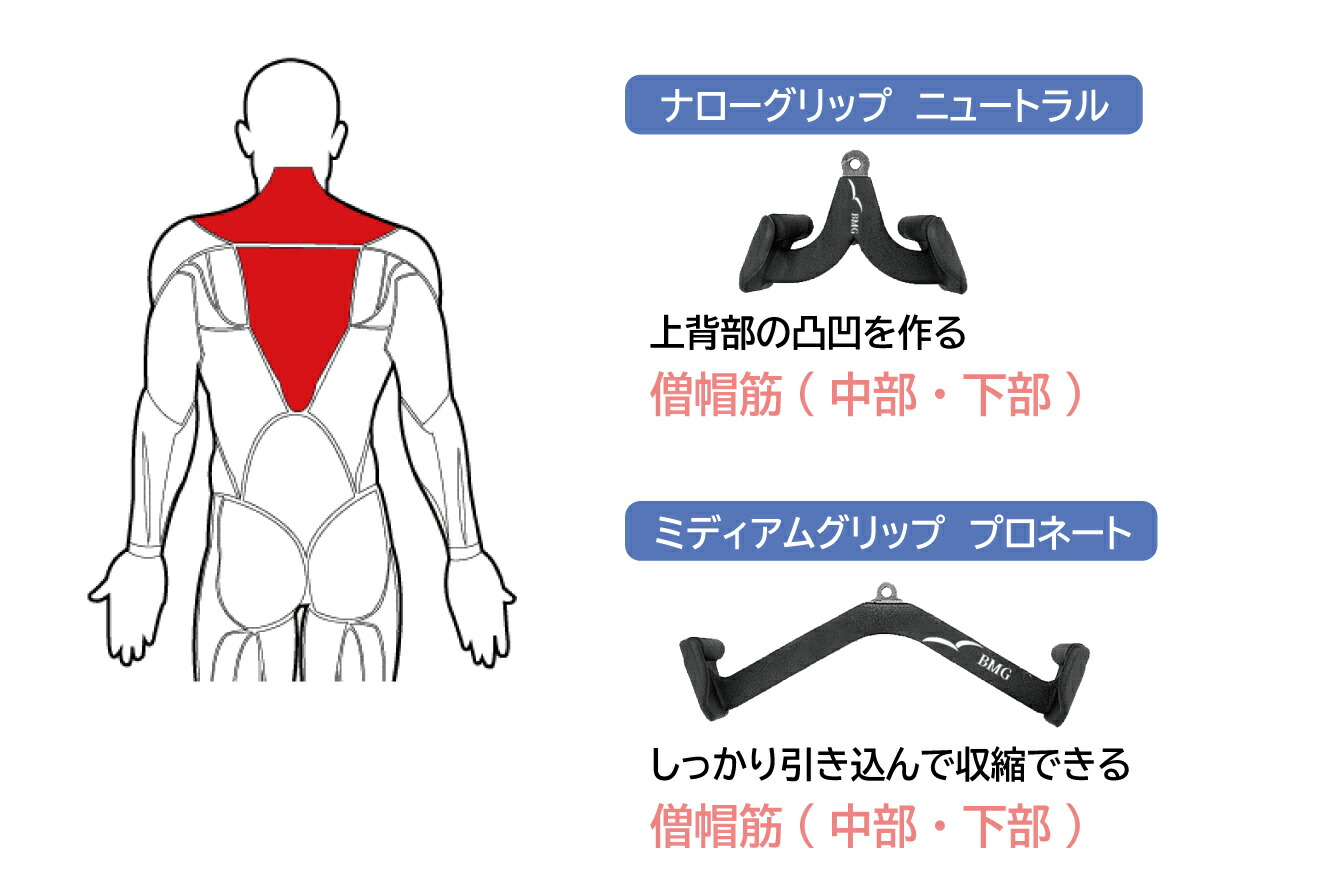 楽天市場】バックマッスルグリップ(5種)送料無料 筋トレ トレーニング