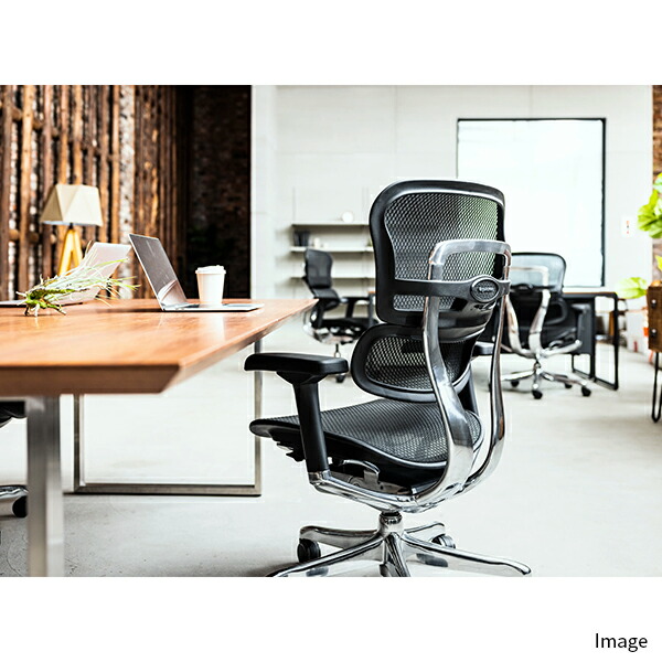 楽天市場】エルゴヒューマン プロ2 ロー オフィスチェア LOW エラスト