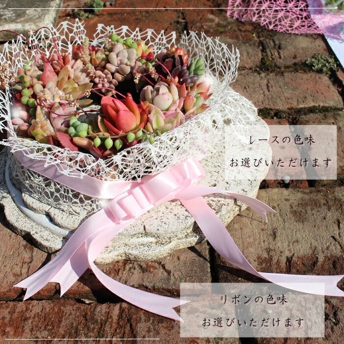 楽天市場】多肉植物 リース 寄せ植え 贈り物 ギフト BOX プレゼント