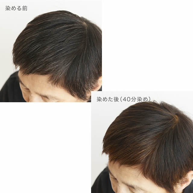 楽天市場】ナイアード ヘナ+ハーブ 徳用400g : 人と地球にやさしい