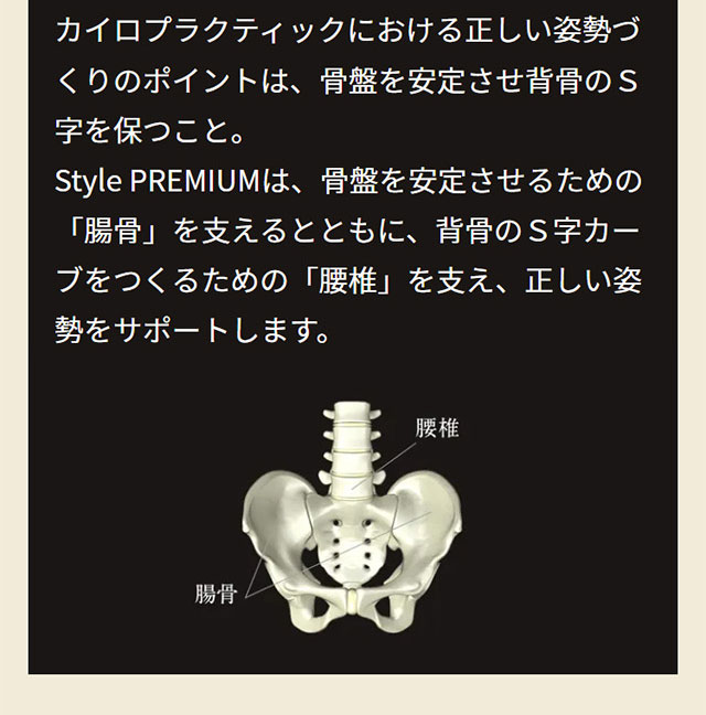 楽天市場】【メーカー正規販売店】 スタイルプレミアム デラックス