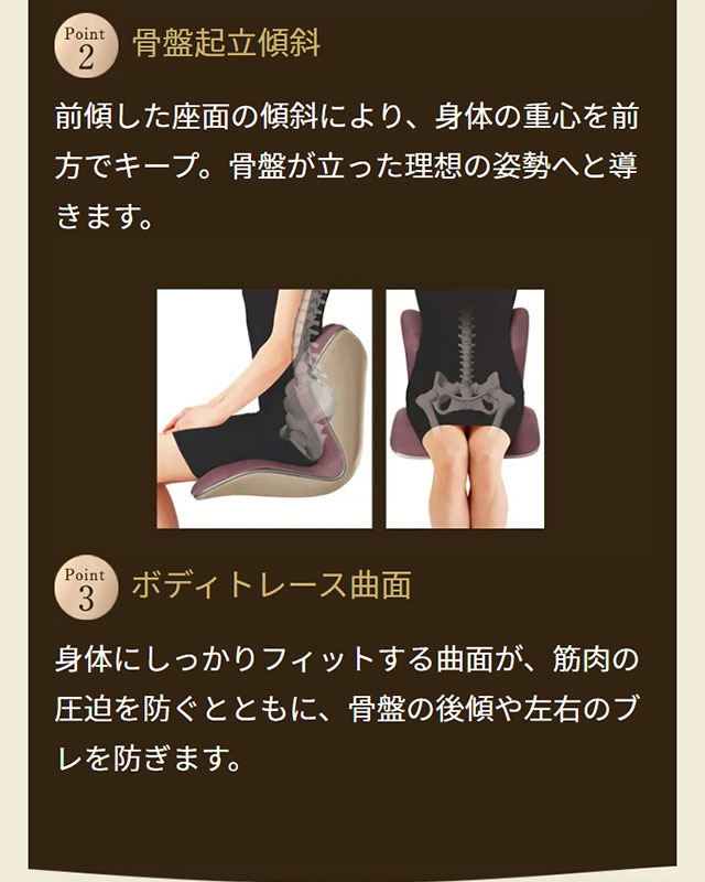 楽天市場】【メーカー正規販売店】 スタイルプレミアム デラックス