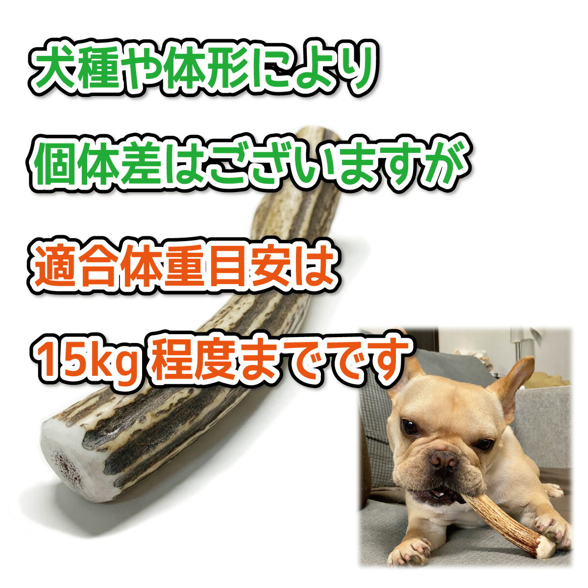 楽天市場】中型犬用 蝦夷鹿の角 『鹿角さん』 割っていないタイプ 1本