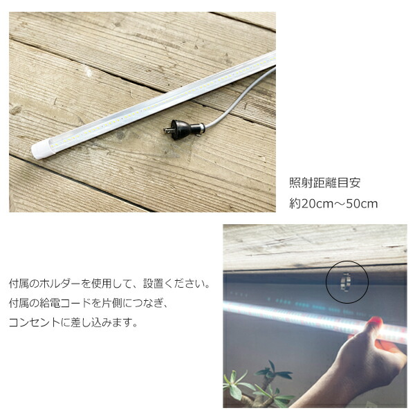 楽天市場】観葉植物 育成ライト 正規取扱い店 チューブ TUBE ロング