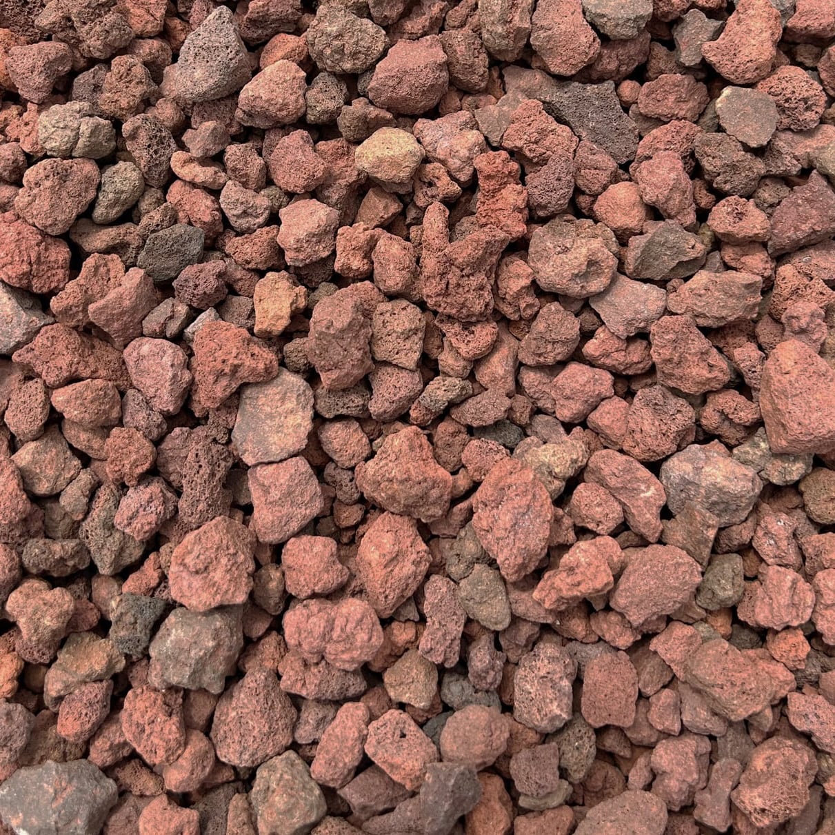 楽天市場】ガーデニング 溶岩 砂利 庭 溶岩石 赤 伊豆赤溶岩 スコリア