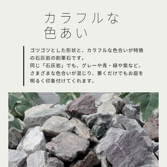 楽天市場】＼ポイント5倍!!3/1限定!!／ミックスカラーロック 40-100mm