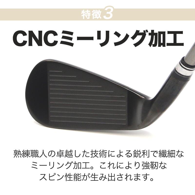 楽天市場】アイアンセット CNC 軟鉄鍛造 黒染め仕上げ キャビティ