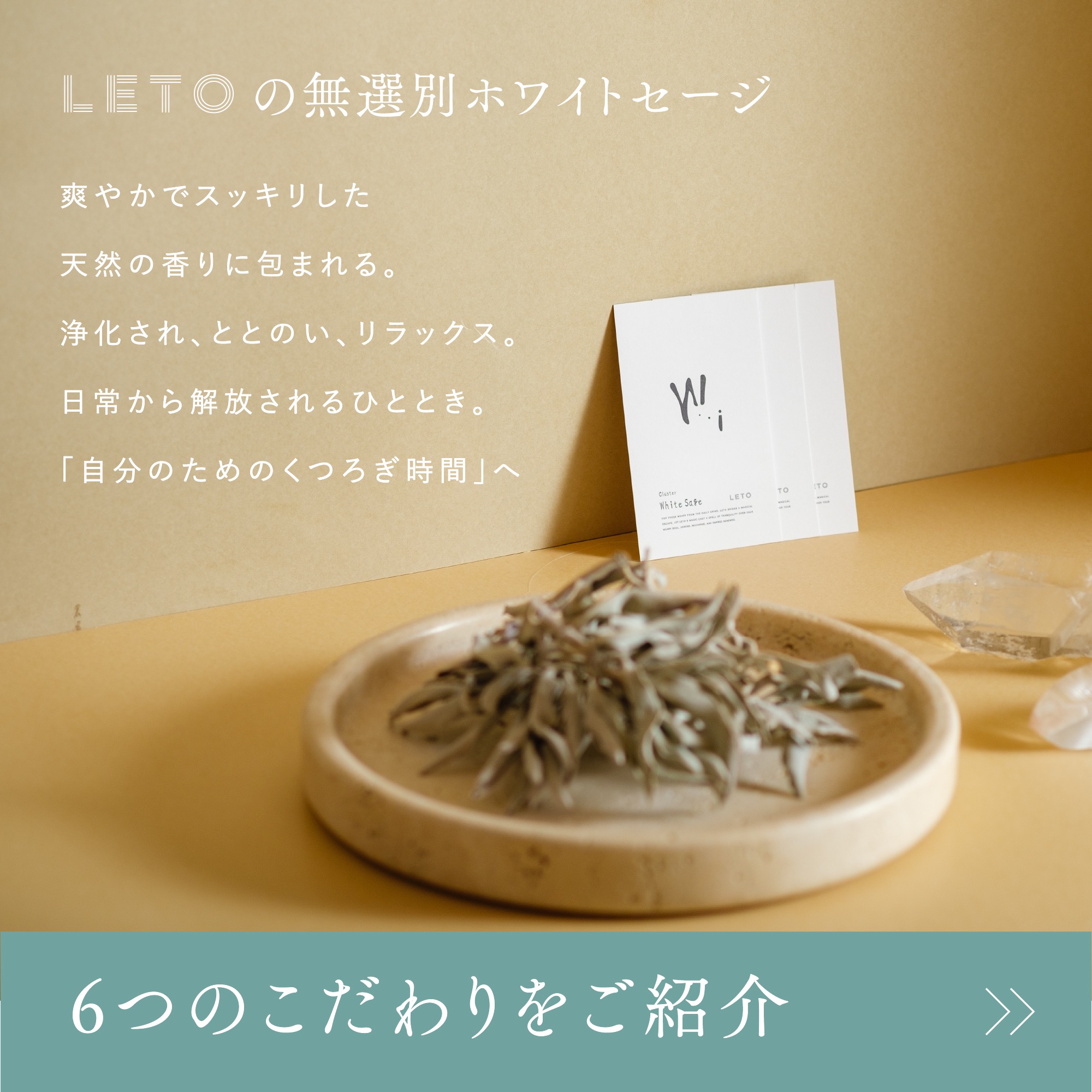 楽天市場】＼3/4 10:00~ 15%OFFクーポンSALE／【 無選別品 高品質