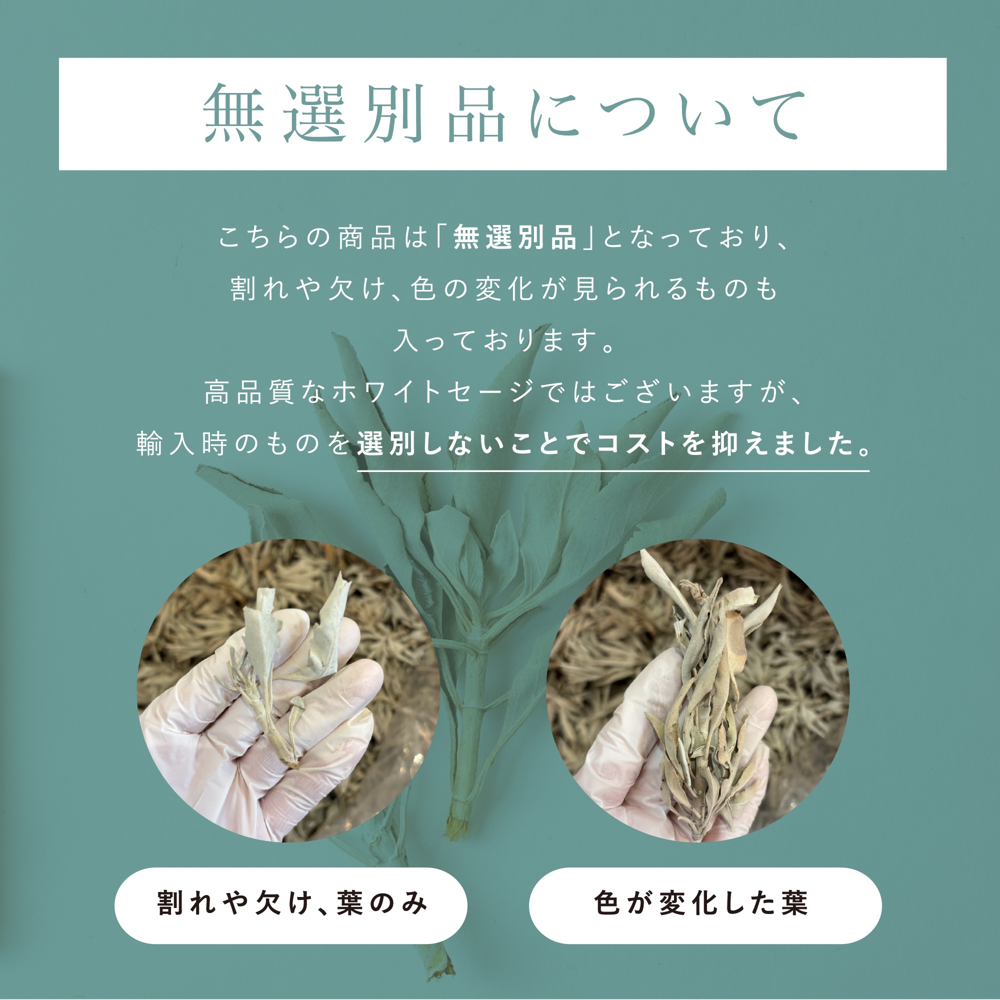 楽天市場】＼3/4 10:00~ 15%OFFクーポンSALE／【 無選別品 高品質